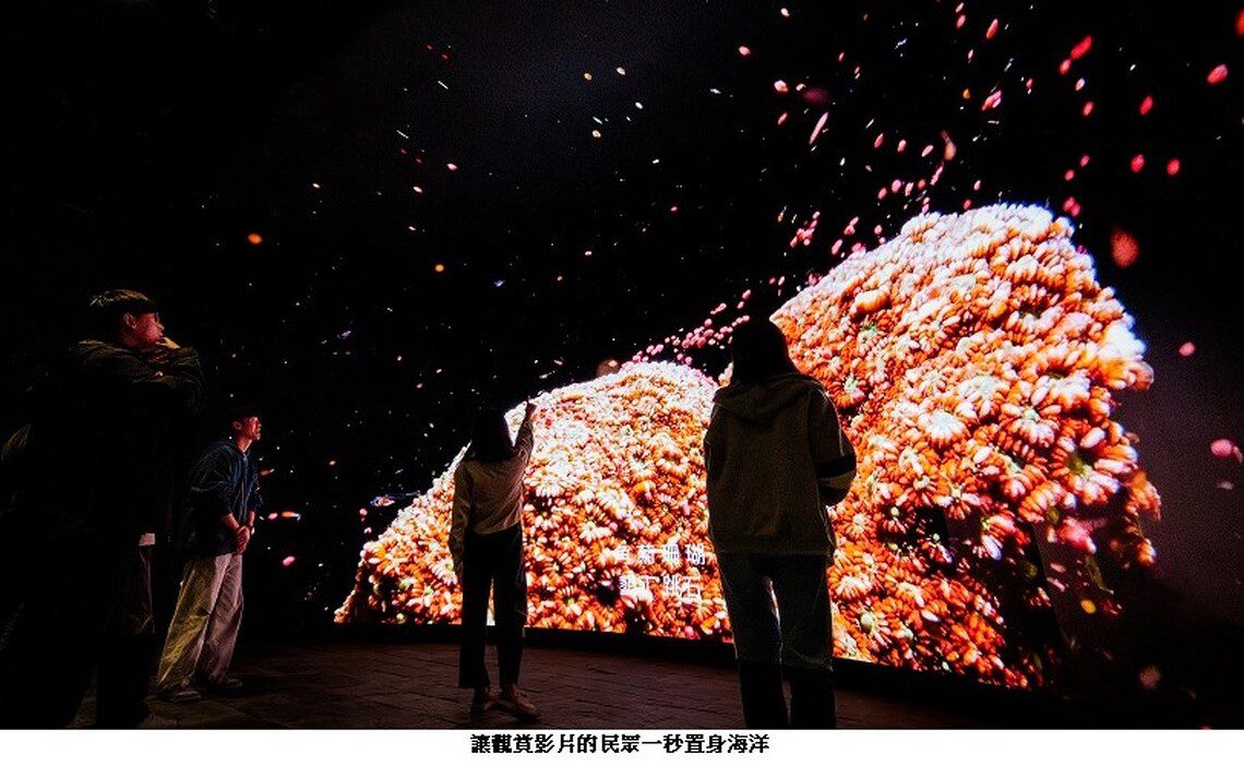 翻轉海洋視界!屏東海生館首創沉浸式弧形LED攝影棚震撼登場 - 大時事